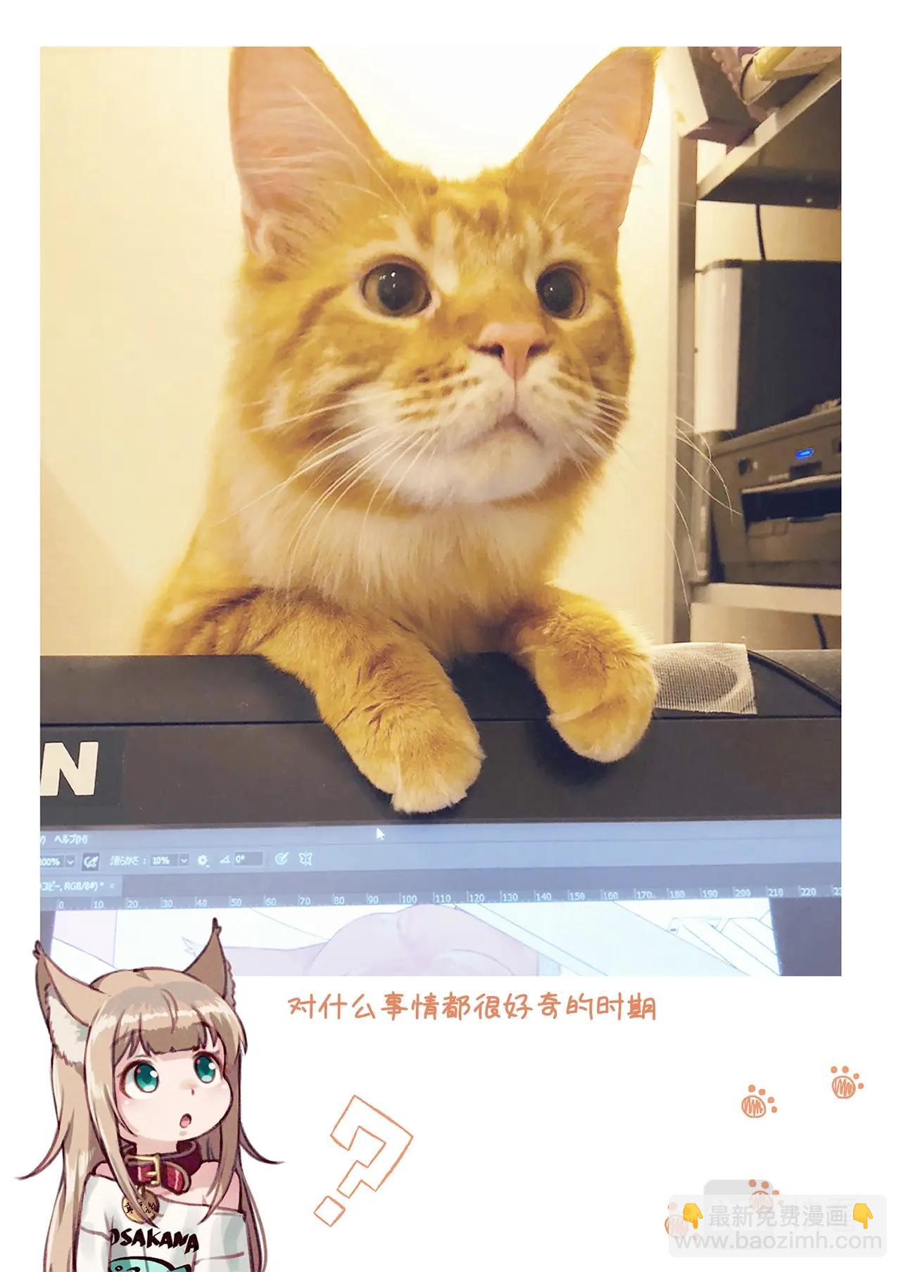 《我家的猫猫是可爱的女孩子》第2话 黄豆粉喜欢的东西 第36页