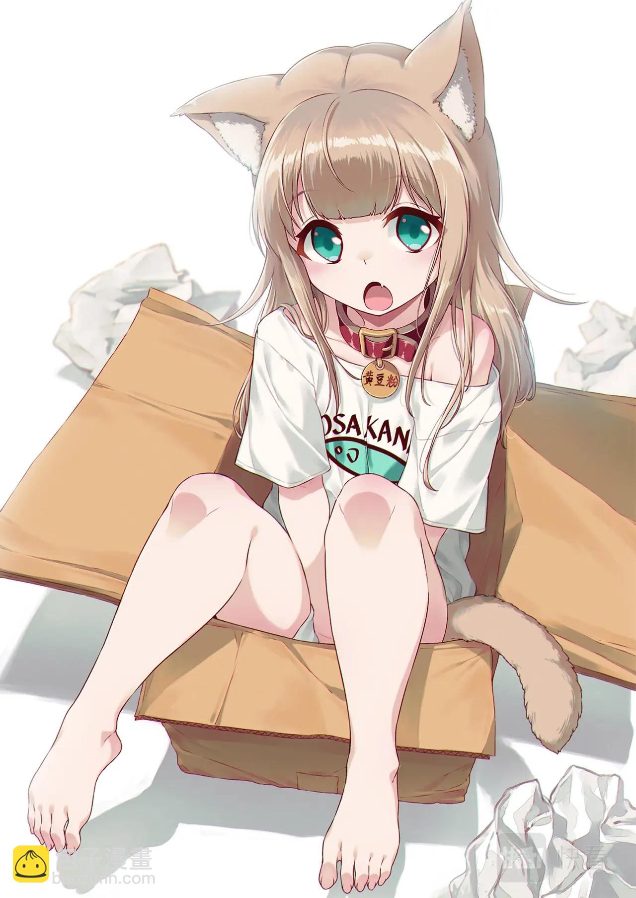 《我家的猫猫是可爱的女孩子》第2话 黄豆粉喜欢的东西 第41页