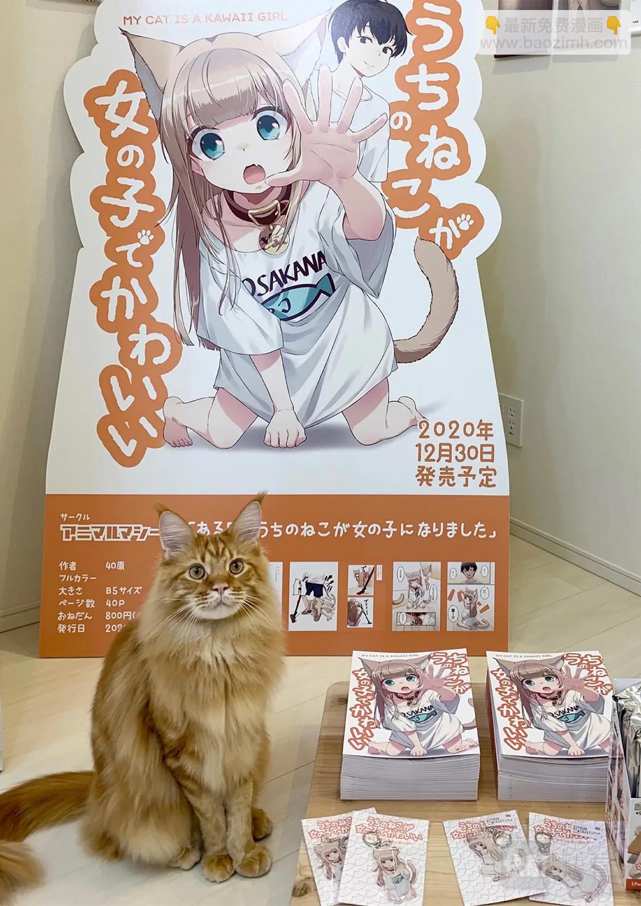 《我家的猫猫是可爱的女孩子》第2话 黄豆粉喜欢的东西 第43页