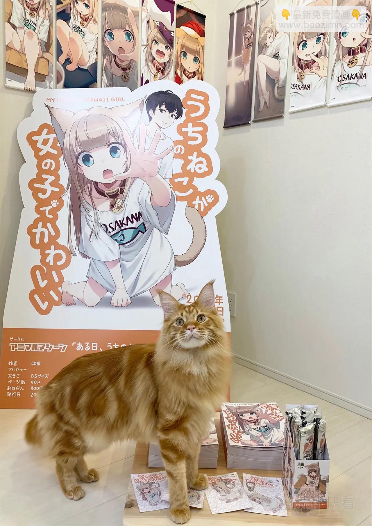 《我家的猫猫是可爱的女孩子》第2话 黄豆粉喜欢的东西 第44页