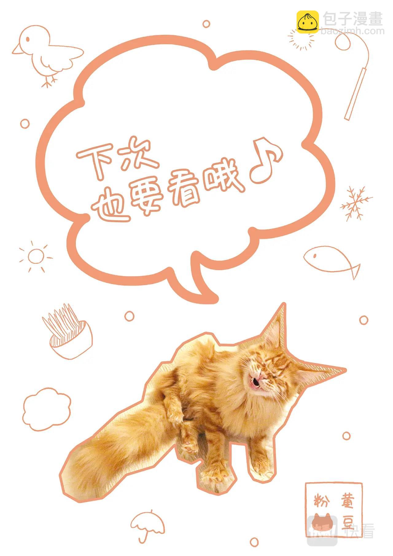 《我家的猫猫是可爱的女孩子》第2话 黄豆粉喜欢的东西 第46页