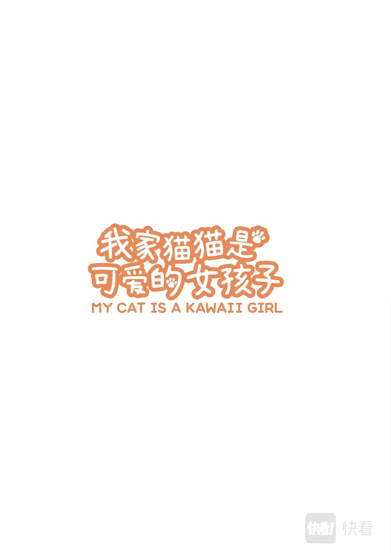 《我家的猫猫是可爱的女孩子》第3话 黄豆粉和玩具 第1页