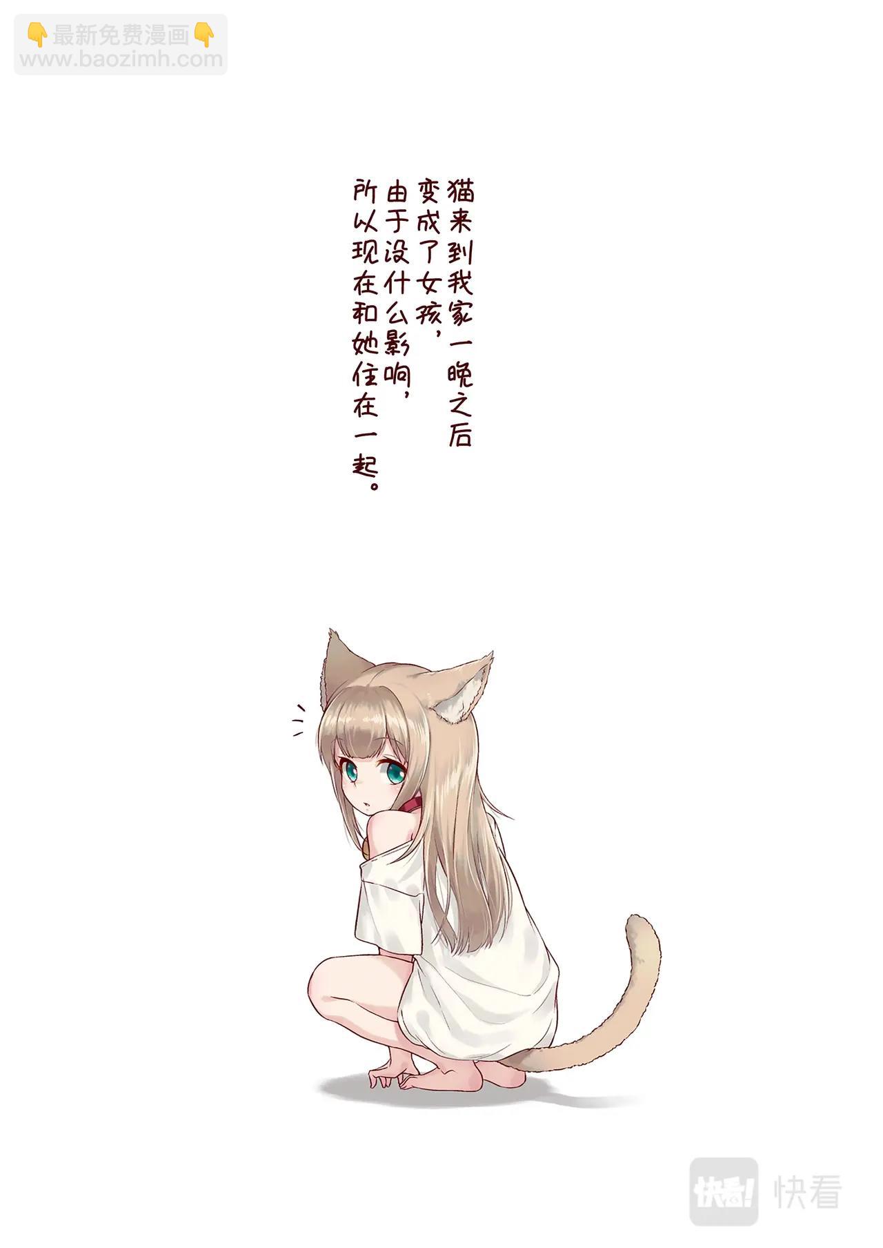 《我家的猫猫是可爱的女孩子》第3话 黄豆粉和玩具 第2页