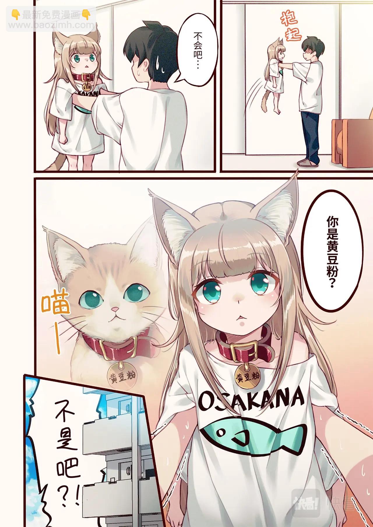 《我家的猫猫是可爱的女孩子》第1话 我家来了一只猫 第12页