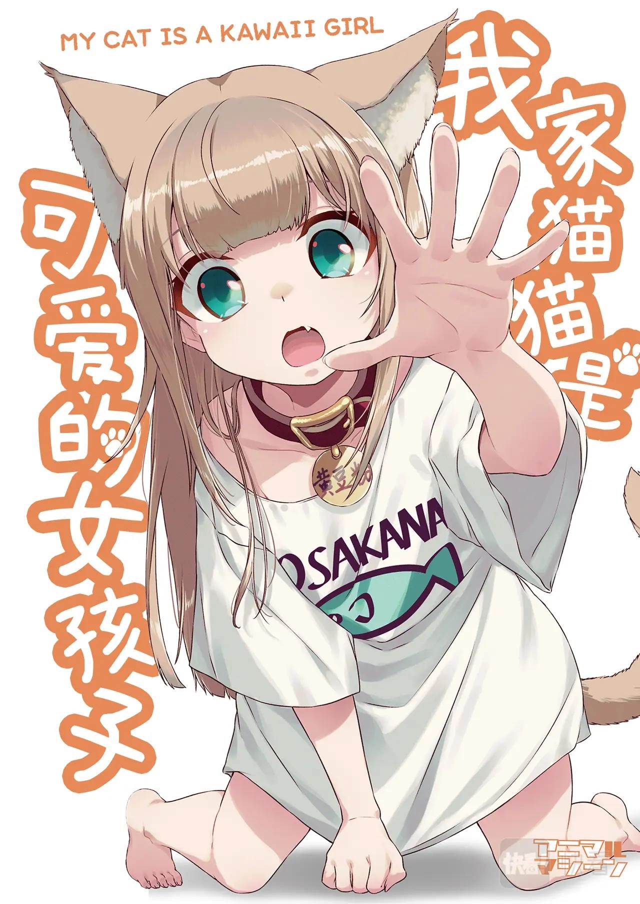 《我家的猫猫是可爱的女孩子》第1话 我家来了一只猫 第1页