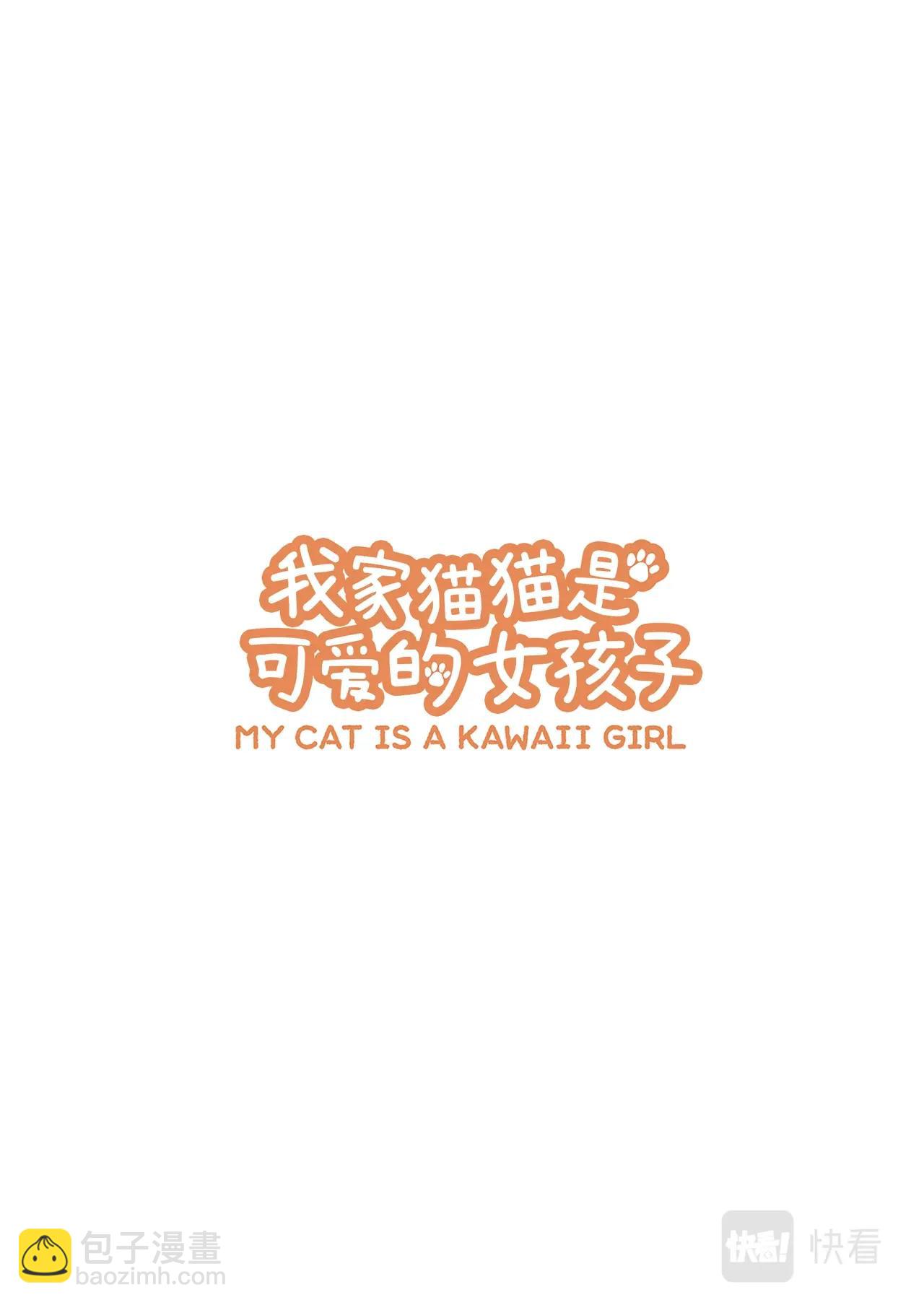 《我家的猫猫是可爱的女孩子》第1话 我家来了一只猫 第2页