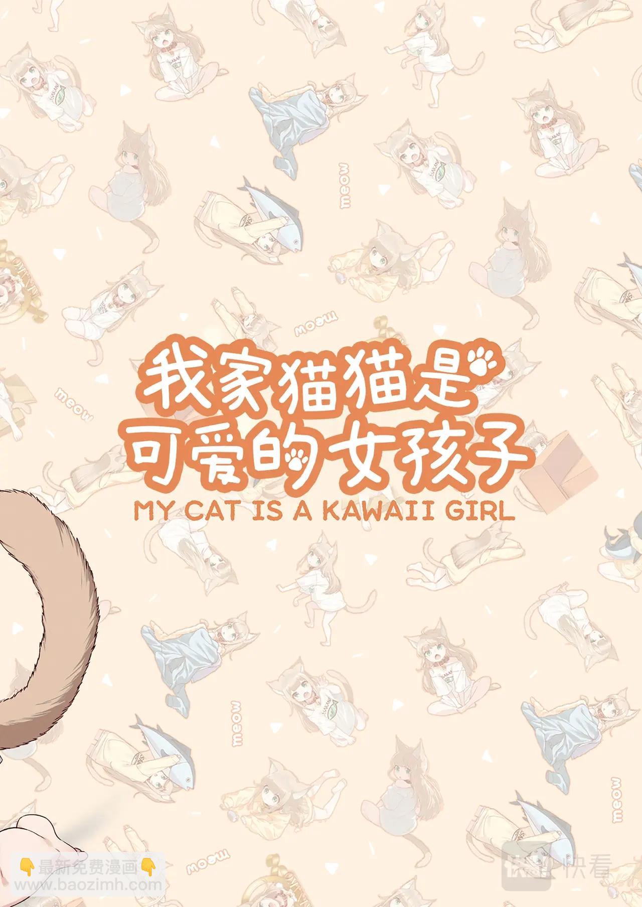 《我家的猫猫是可爱的女孩子》第1话 我家来了一只猫 第4页