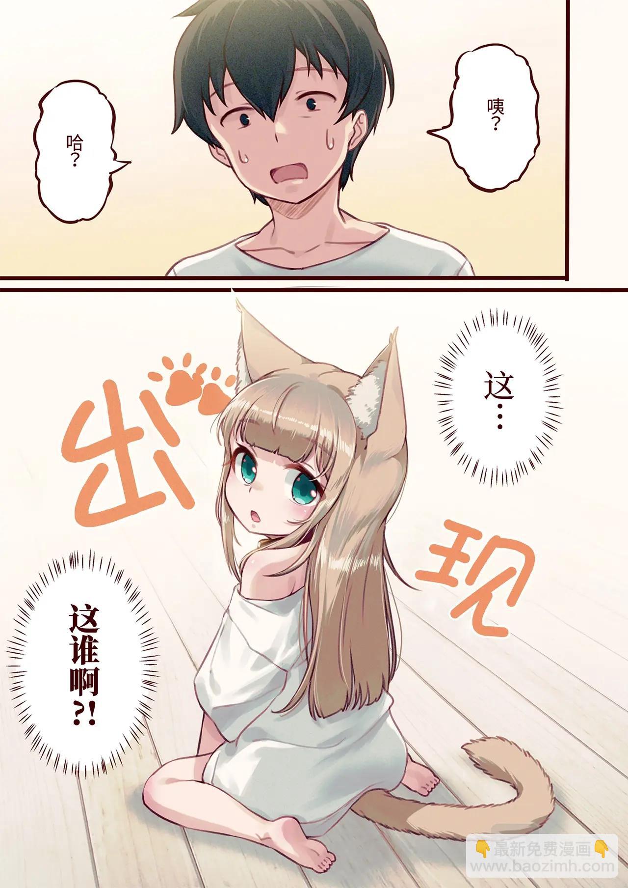 《我家的猫猫是可爱的女孩子》第1话 我家来了一只猫 第5页