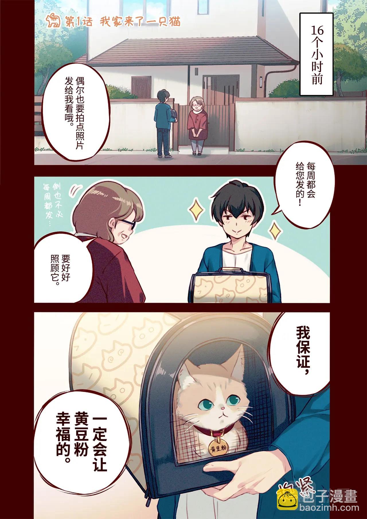 《我家的猫猫是可爱的女孩子》第1话 我家来了一只猫 第6页