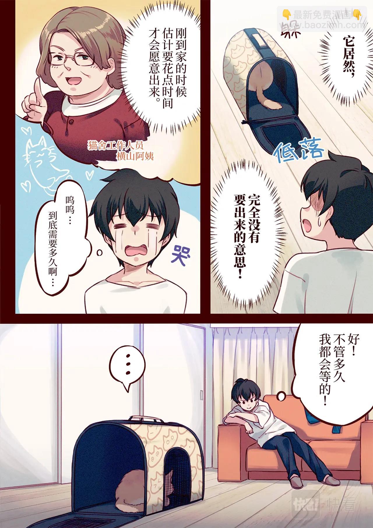 《我家的猫猫是可爱的女孩子》第1话 我家来了一只猫 第8页