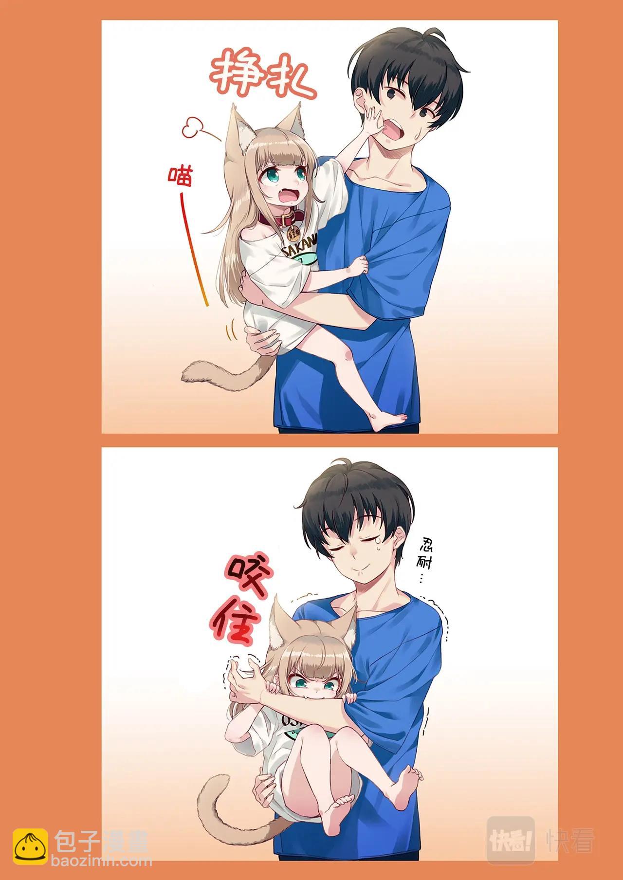 《我家的猫猫是可爱的女孩子》第5话 黄豆粉和顺毛 第11页