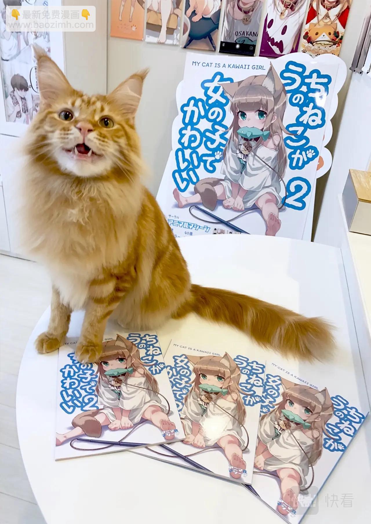 《我家的猫猫是可爱的女孩子》第5话 黄豆粉和顺毛 第34页