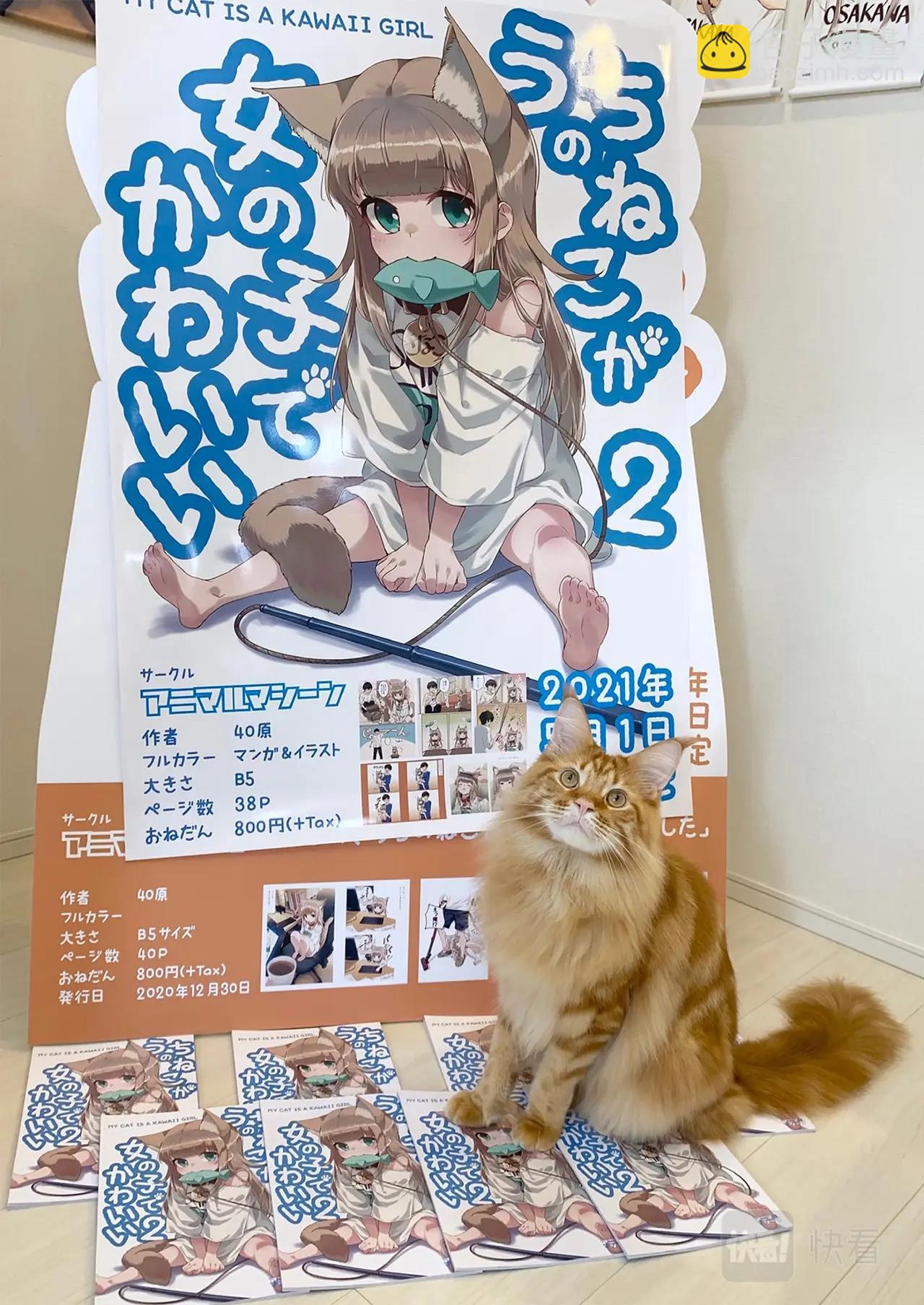 《我家的猫猫是可爱的女孩子》第5话 黄豆粉和顺毛 第35页