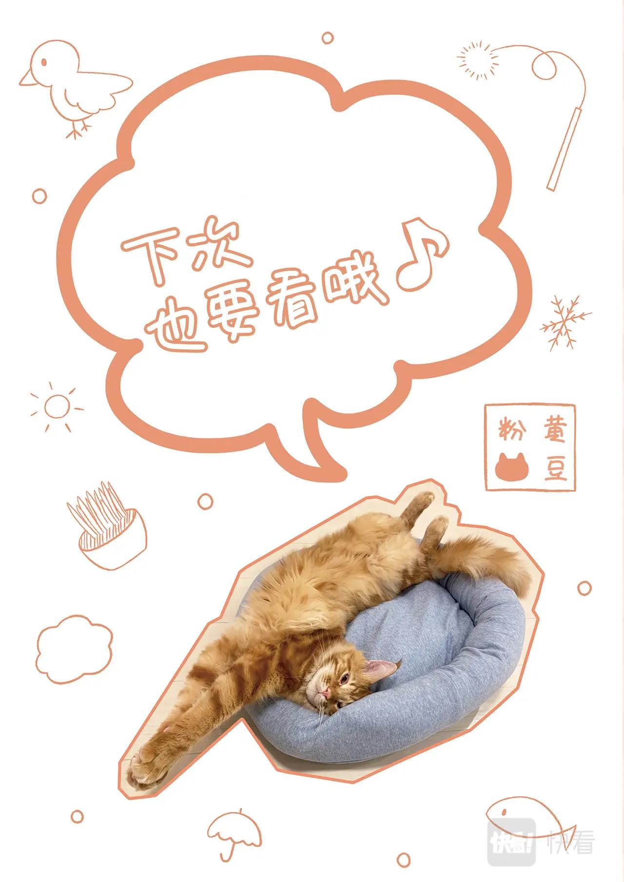 《我家的猫猫是可爱的女孩子》第5话 黄豆粉和顺毛 第39页