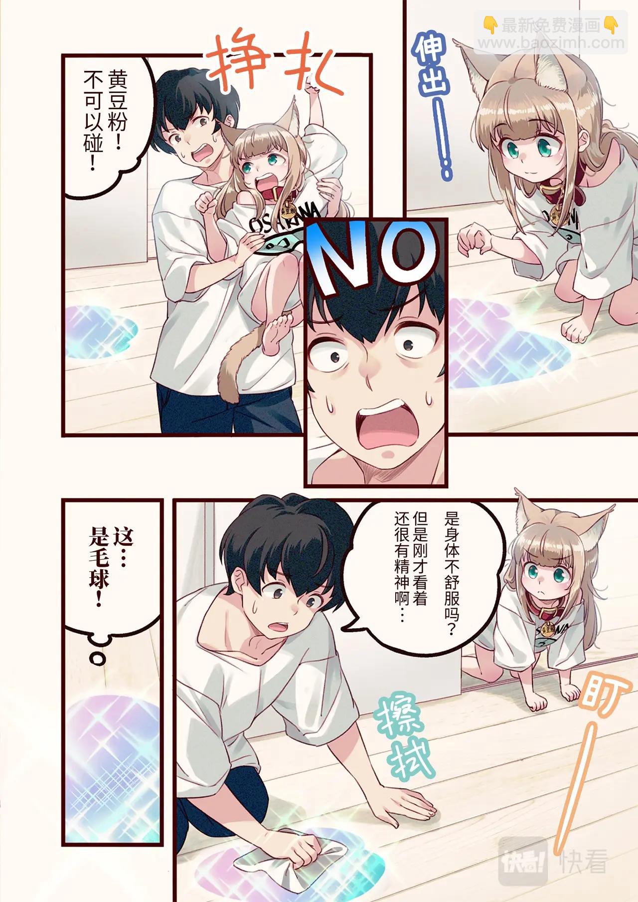 《我家的猫猫是可爱的女孩子》第5话 黄豆粉和顺毛 第4页