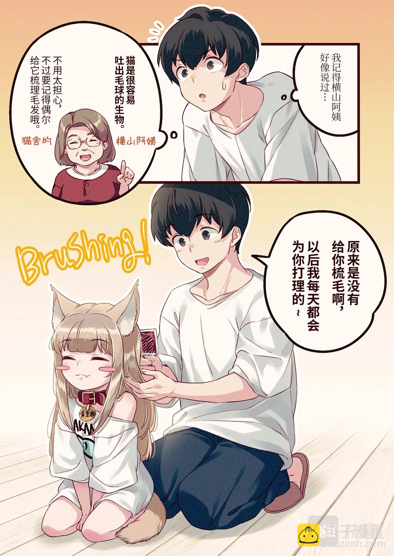 《我家的猫猫是可爱的女孩子》第5话 黄豆粉和顺毛 第5页