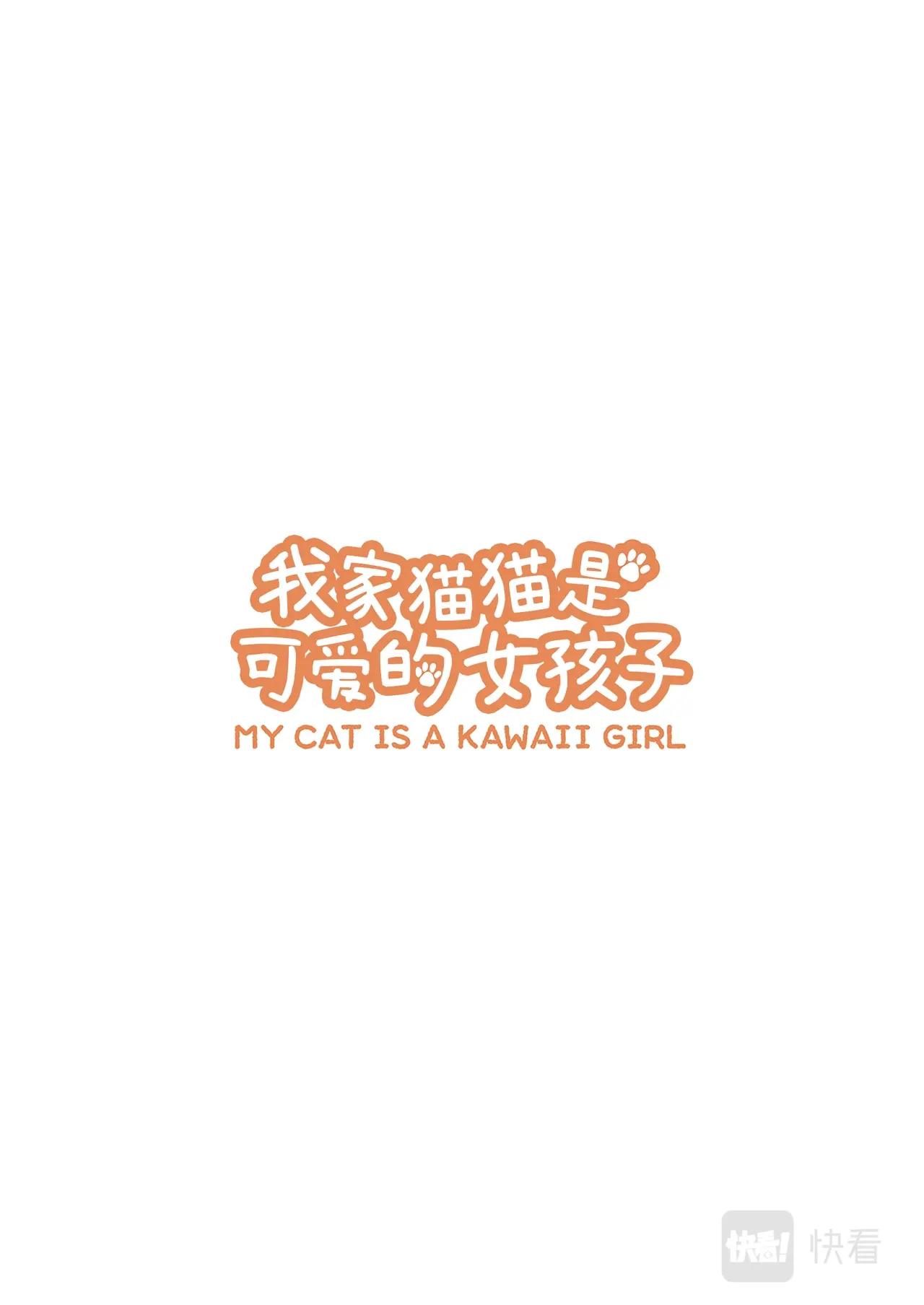 《我家的猫猫是可爱的女孩子》第4话 黄豆粉和撞头？ 第1页