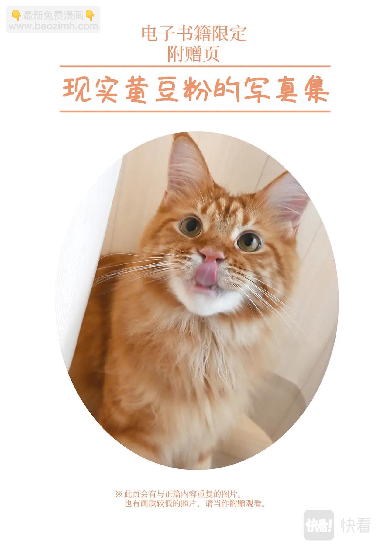 《我家的猫猫是可爱的女孩子》第7.5话 黄豆粉的恶作剧 第20页