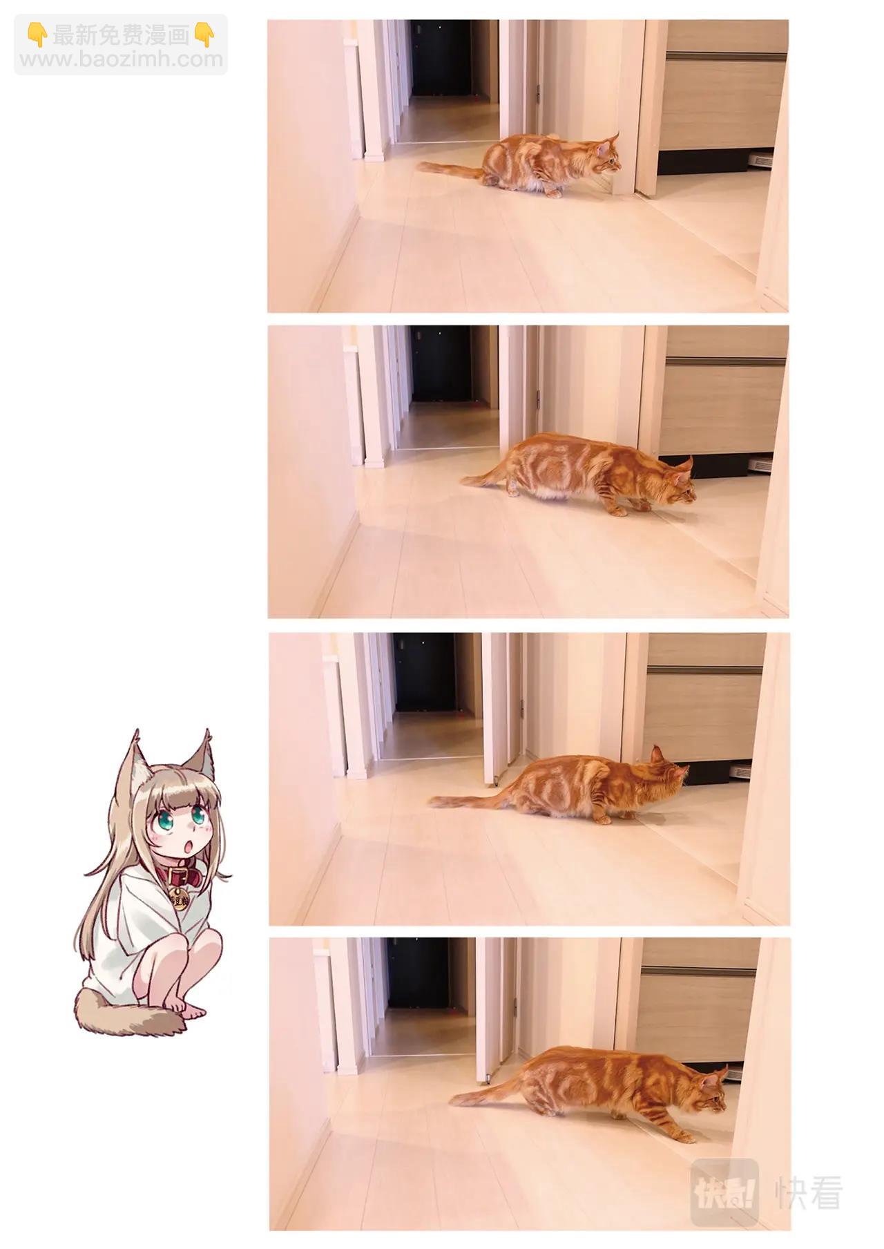 《我家的猫猫是可爱的女孩子》第7.5话 黄豆粉的恶作剧 第27页