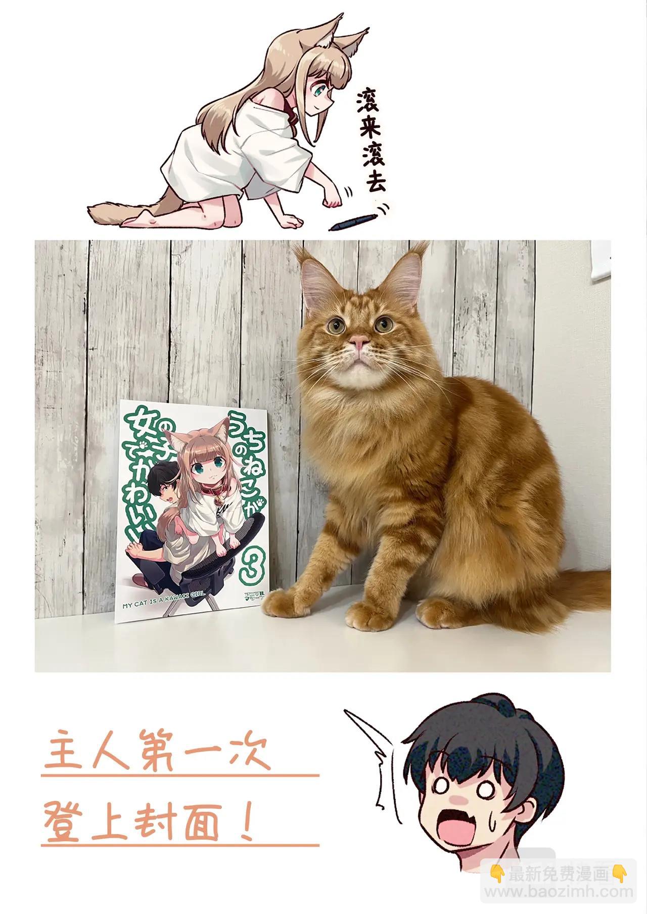 《我家的猫猫是可爱的女孩子》第7.5话 黄豆粉的恶作剧 第38页