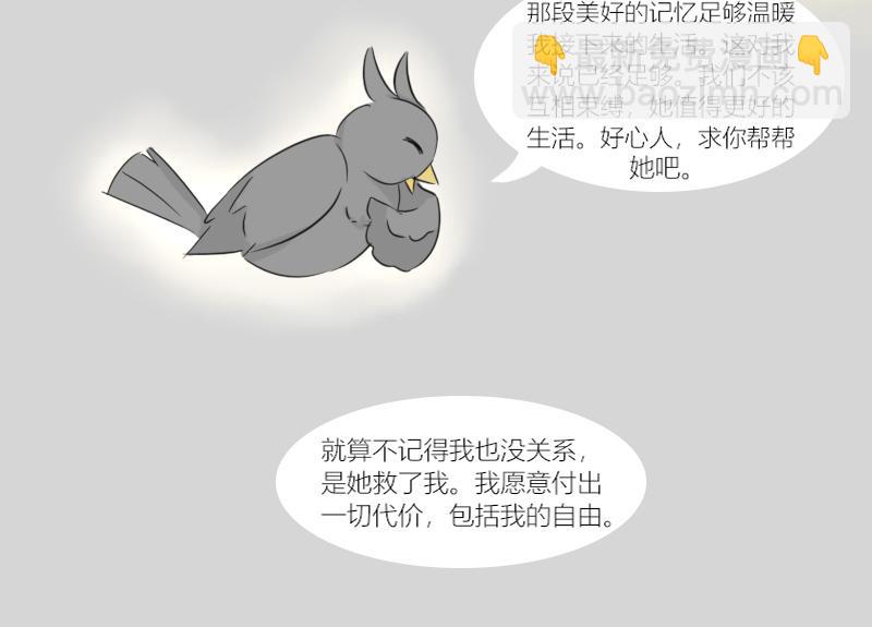 《玄易录》你想去更广阔的世界吗？ 第34页