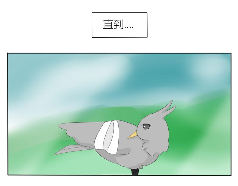 《玄易录》飞鸟与女孩 第10页