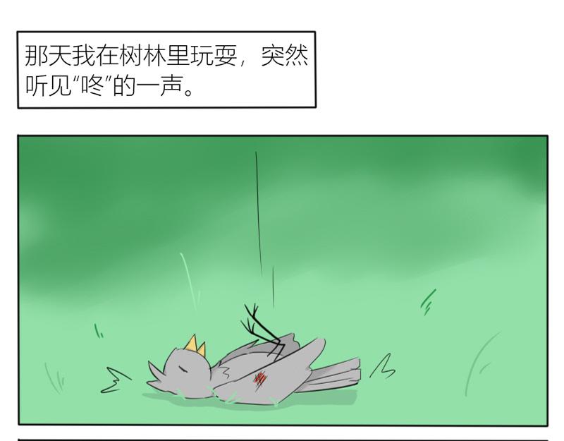 《玄易录》飞鸟与女孩 第1页