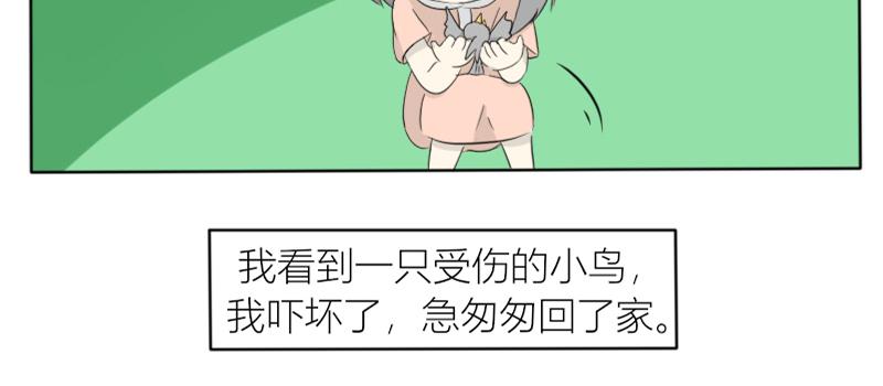 《玄易录》飞鸟与女孩 第3页