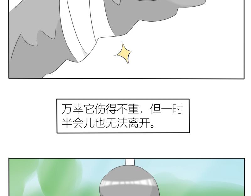 《玄易录》飞鸟与女孩 第5页
