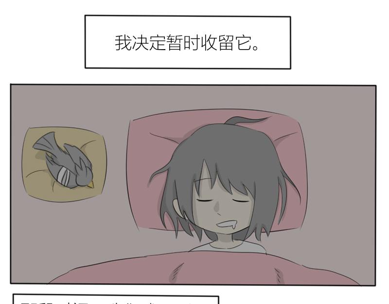 《玄易录》飞鸟与女孩 第7页