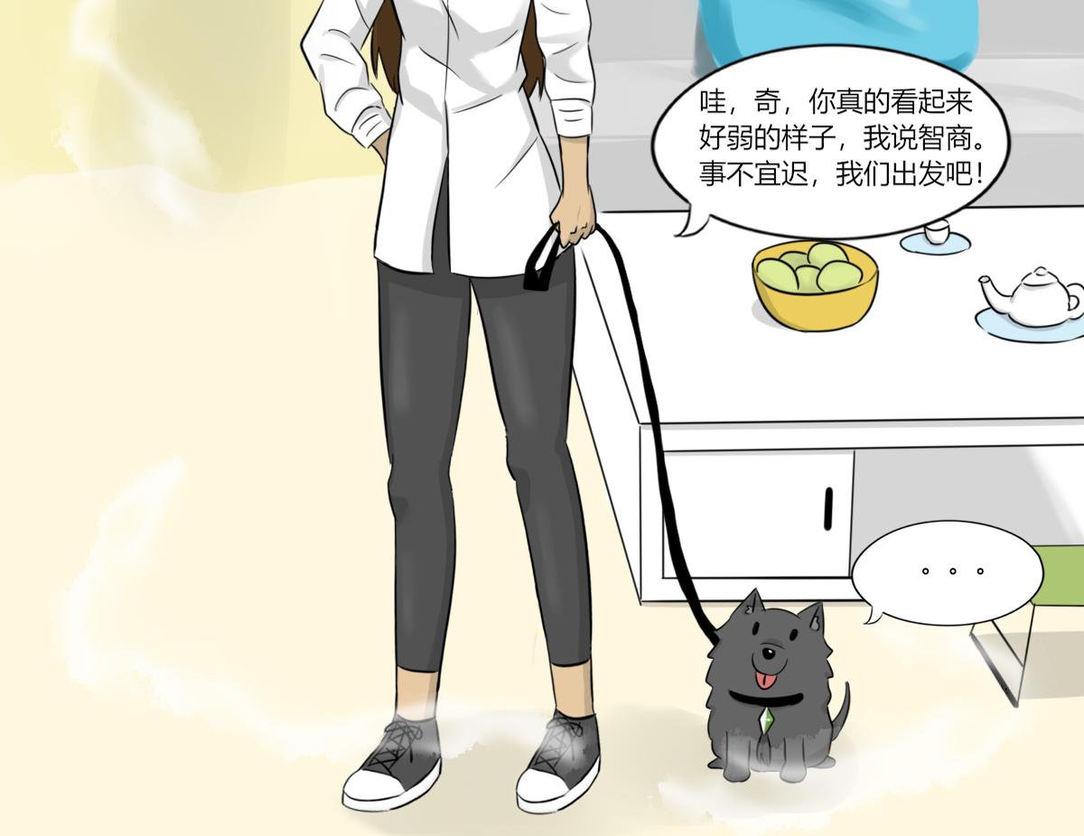 《玄易录》请善待它的灵魂 第12页