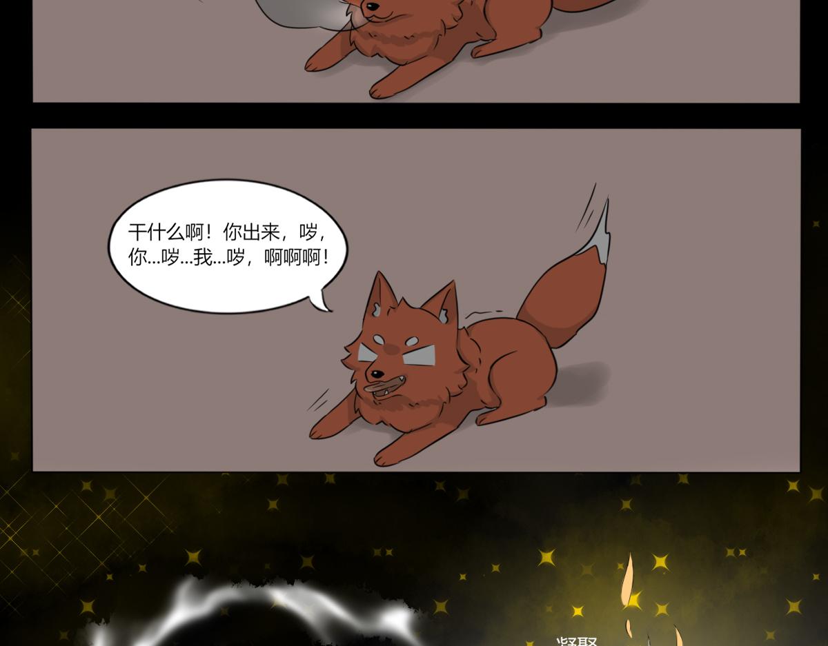 《玄易录》请善待它的灵魂 第40页