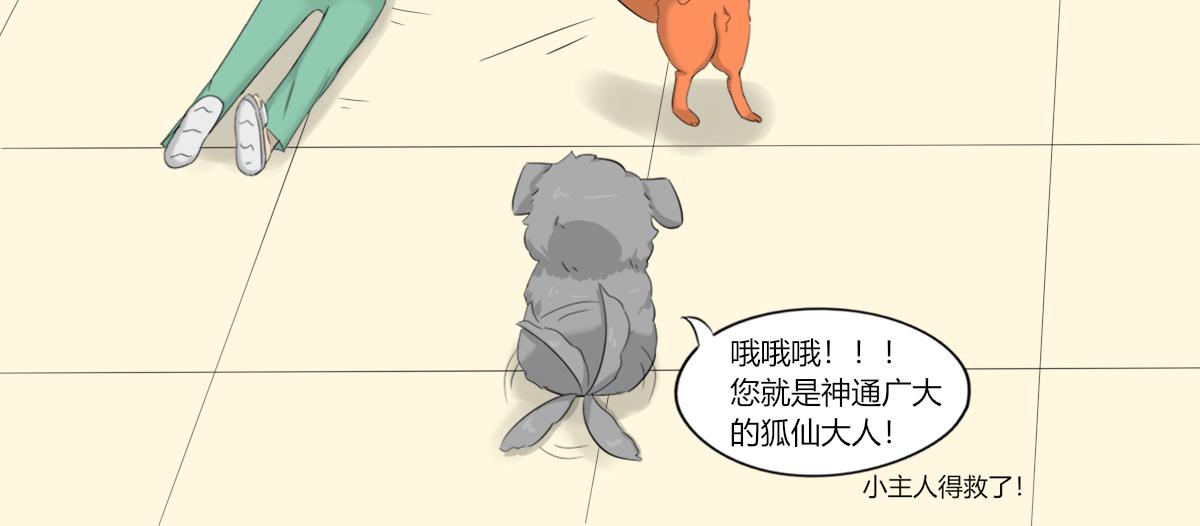 《玄易录》请问你看没看到一只狗，有这么大 第28页