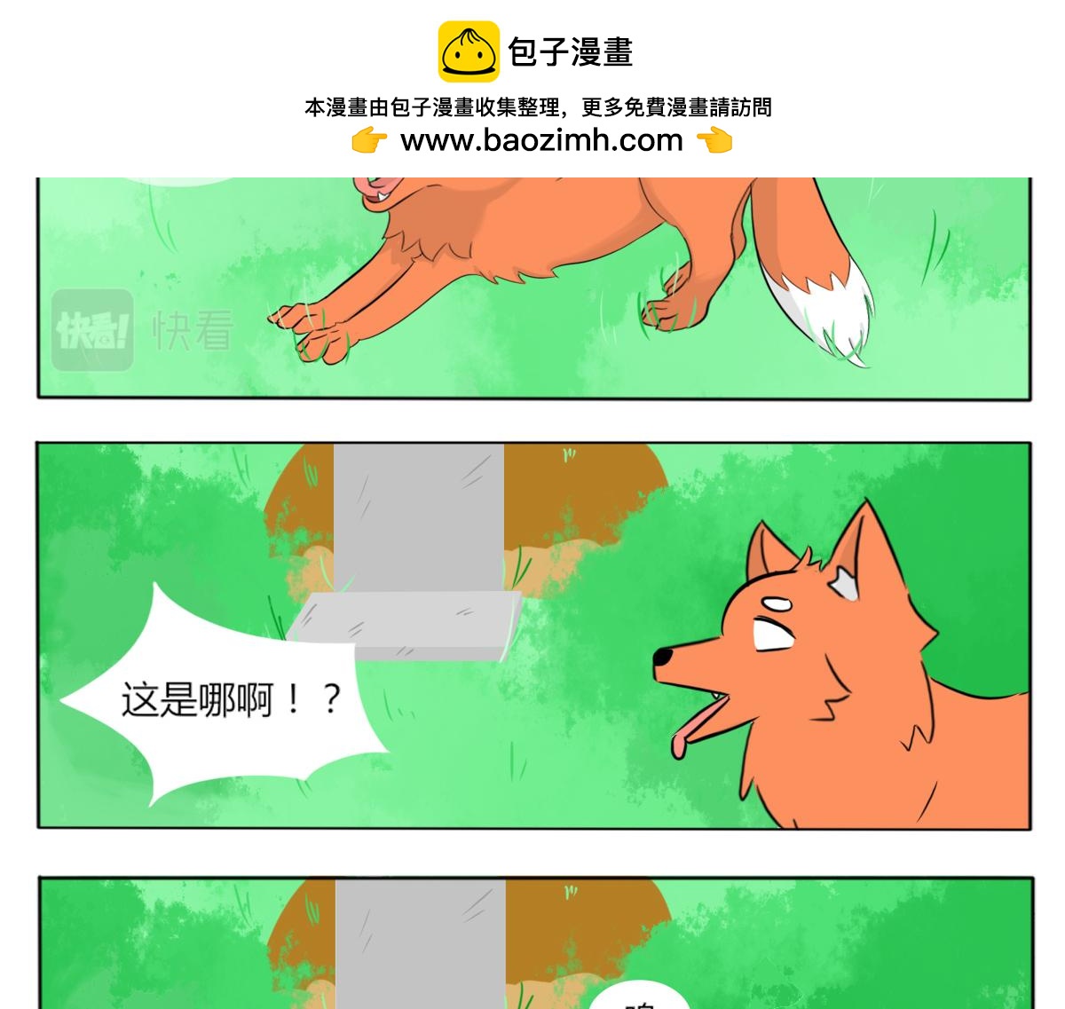 《玄易录》请问你看没看到一只狗，有这么大 第2页