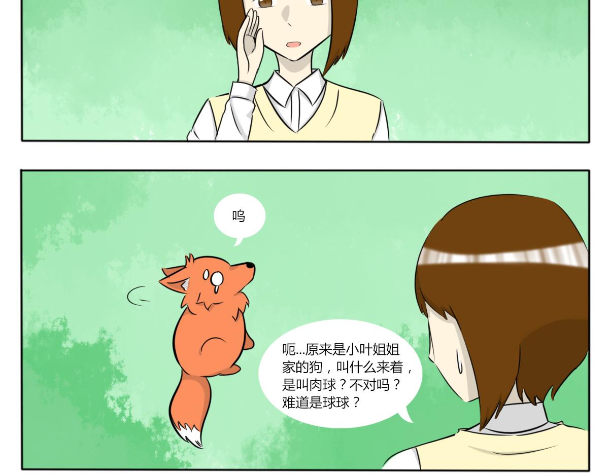 《玄易录》请问你看没看到一只狗，有这么大 第5页