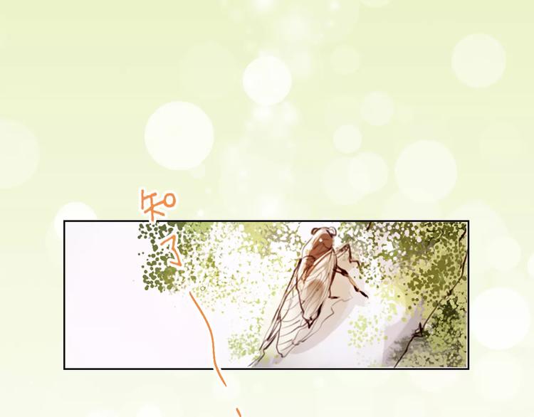 《无印良宠》第1话 谁是你主人啦！？ 第26页