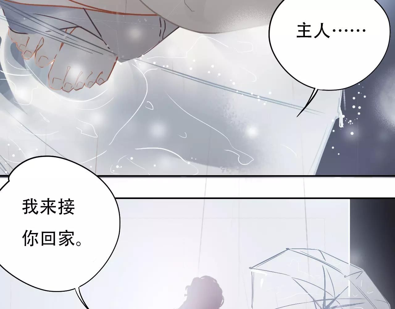《无印良宠》第12话 我来接你回家 第21页