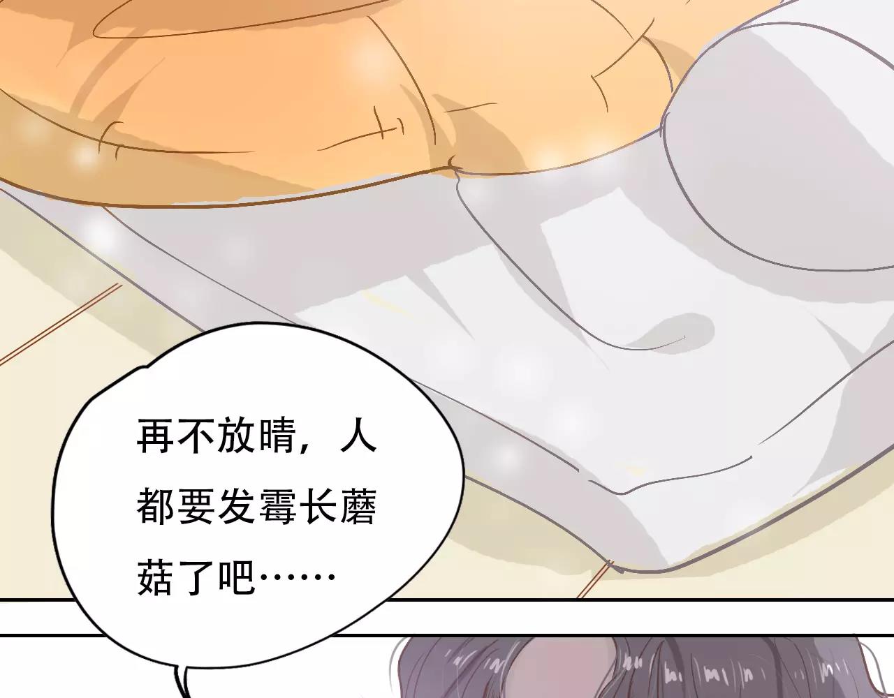 《无印良宠》第12话 我来接你回家 第37页
