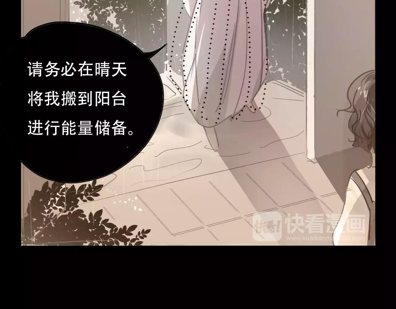 《无印良宠》第12话 我来接你回家 第43页