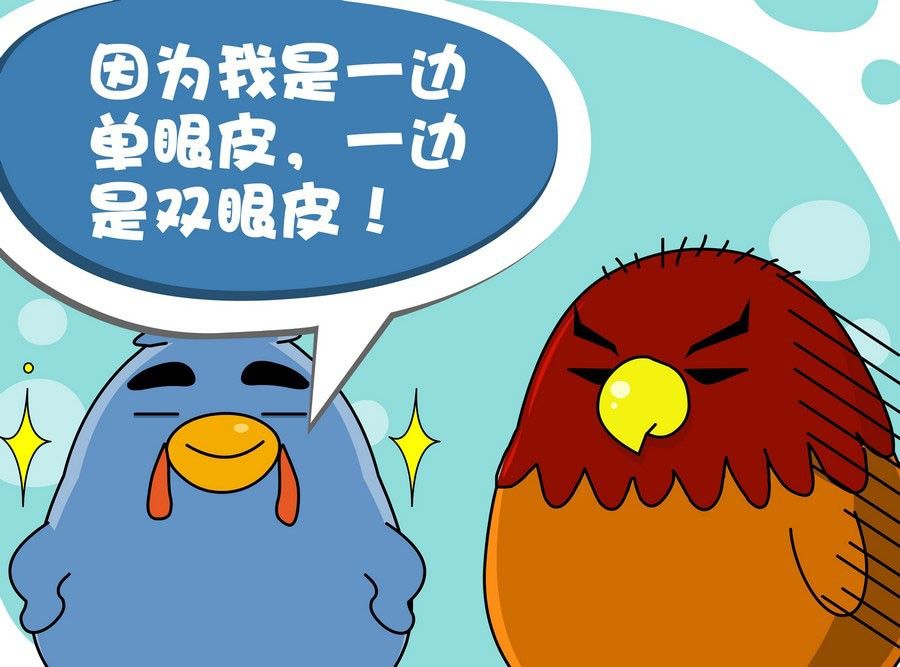 《生活趣事》生活趣事 第10集 第11页
