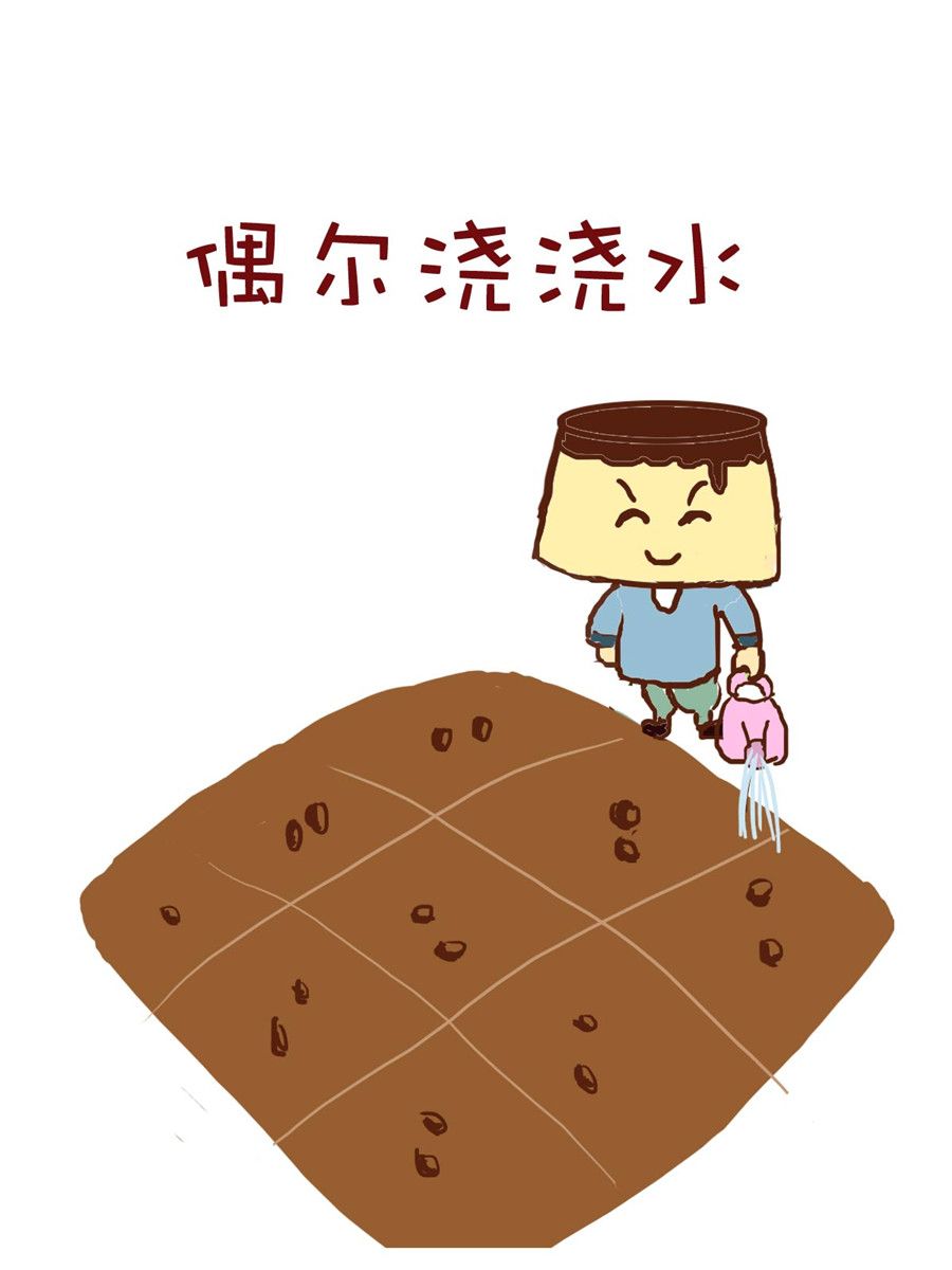 《小布物语》小布物语 第2集 第4页