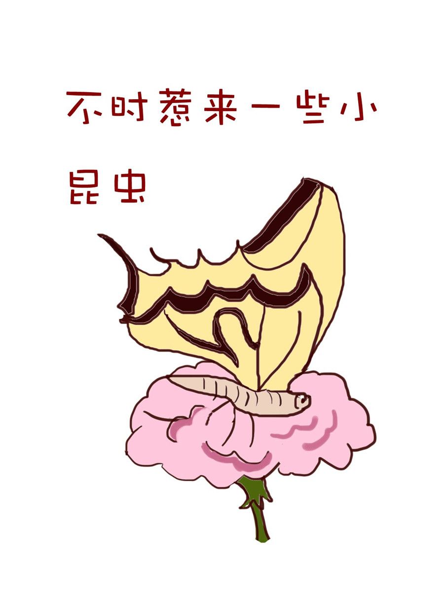 《小布物语》小布物语 第2集 第6页