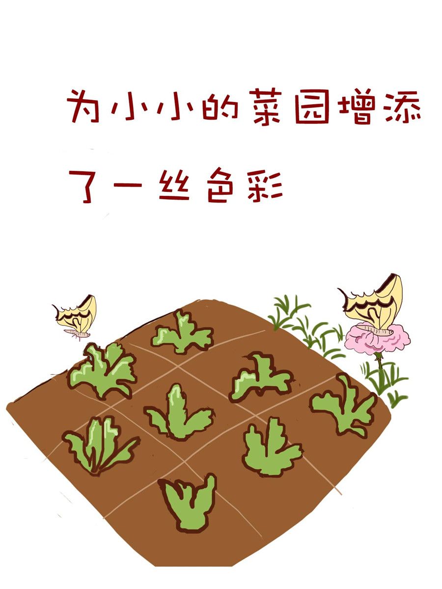 《小布物语》小布物语 第2集 第7页