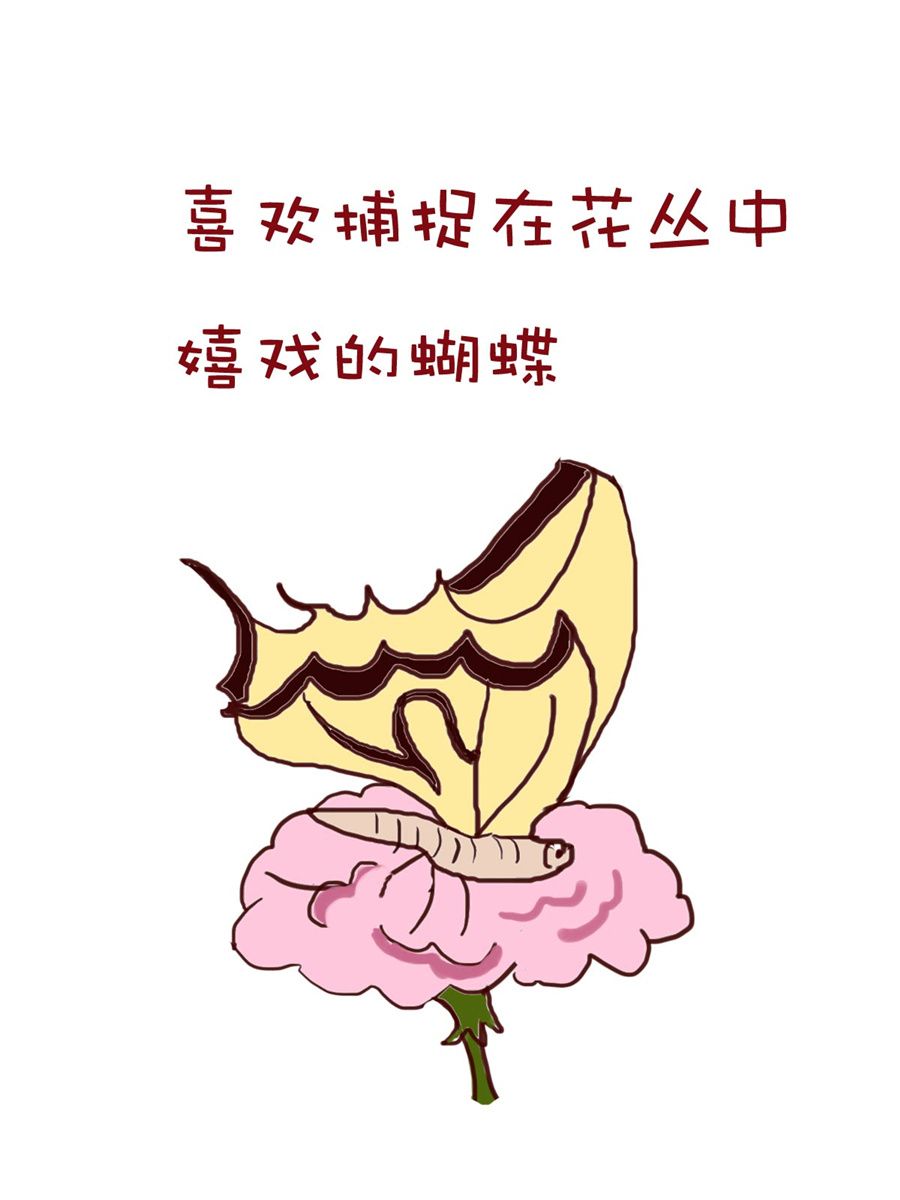《小布物语》小布物语 第9集 第7页