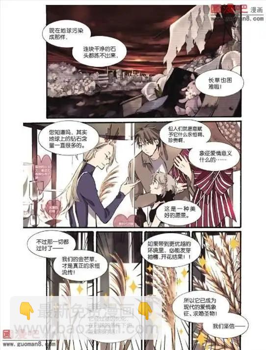 《笨熊的金芒草》3话 第15页