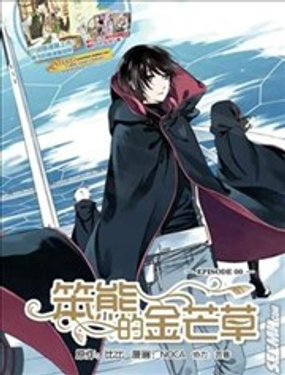 《笨熊的金芒草》漫画封面图 - tl漫画
