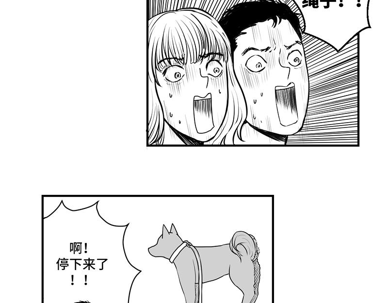 《涉笔成趣》第一话遛狗记 第11页
