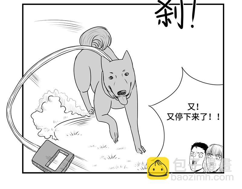 《涉笔成趣》第一话遛狗记 第29页