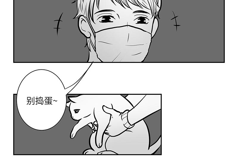 《涉笔成趣》第八话猫的套路你不懂 第10页