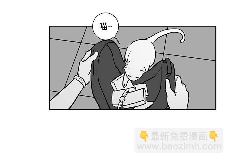 《涉笔成趣》第八话猫的套路你不懂 第14页